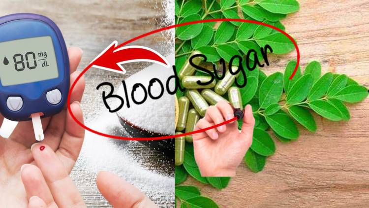 How to control blood sugar with moringa-P2? Moringa Power