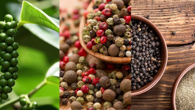 Black Pepper: Benefits of Black Peppers: A Detailed information about Black Pepper: 