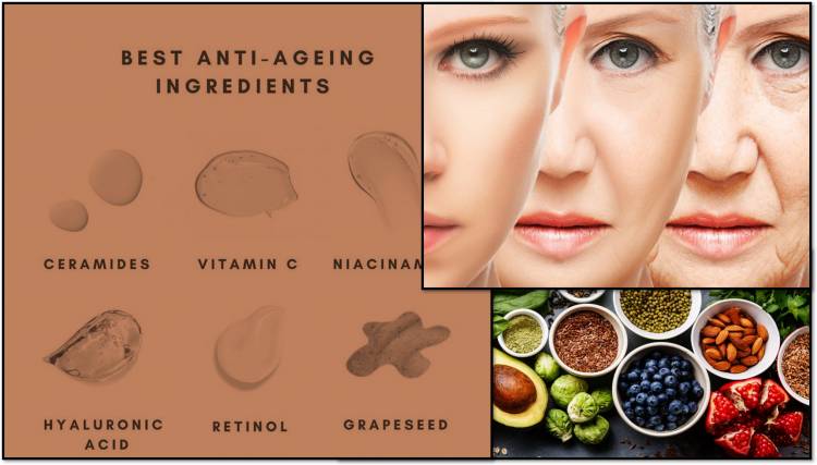 Most Effective Anti-Aging Ingredients for Your Skin