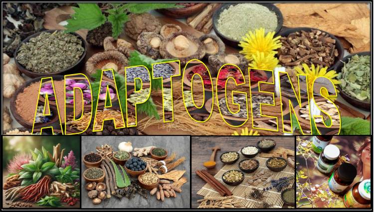 Adaptogens (a natural substance considered to help the body adapt to stress)