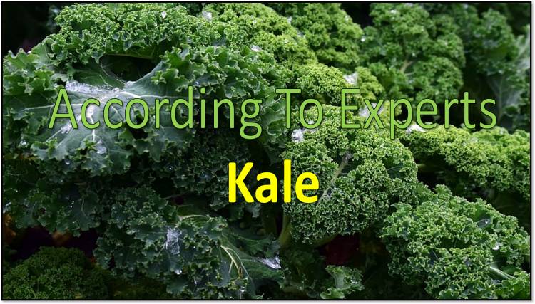 Kale is the Healthiest Vegetable in The World, According to Experts