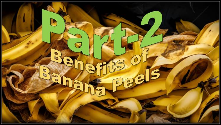 The Absolute Best Uses for Banana Peels-P2