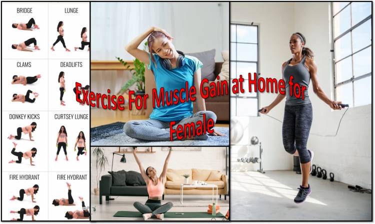 Exercise For Muscle Gain at Home for Female