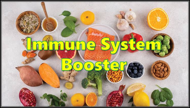 Foods You Should Take to Boost Our Immune System