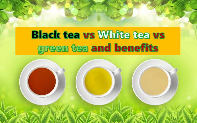 Tea: Black tea vs White tea vs green tea and benefits