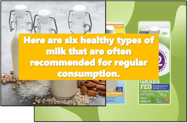 Here are six healthy types of milk that are often recommended for regular consumption.