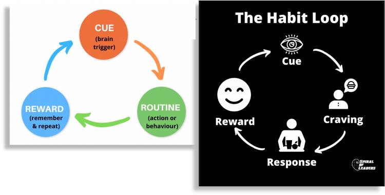 what is a habit loop