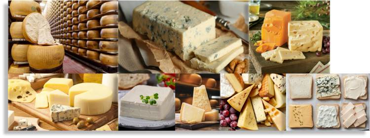 The World's Tastiest Cheeses in Detail