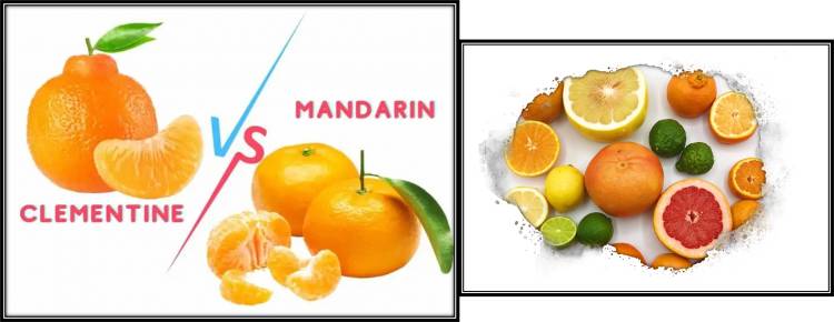 What is the difference between mandarins and Clementines?