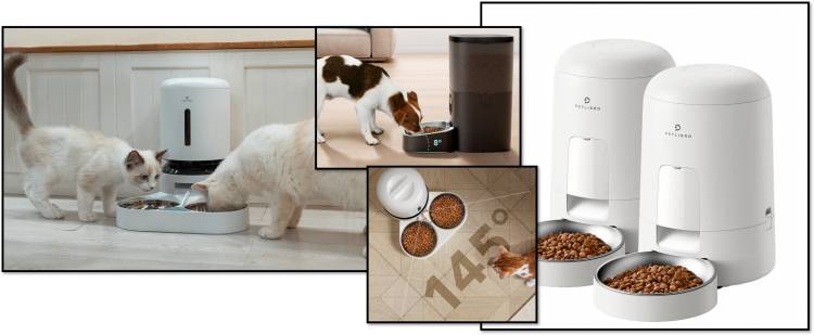 Pete Libro in detail petlibro automatic pet feeder