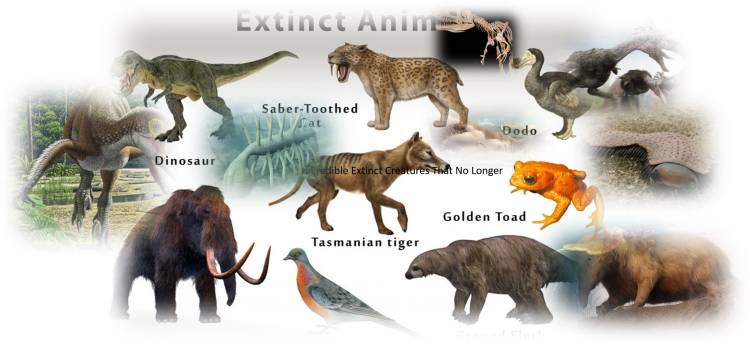  Incredible Extinct Creatures That No Longer