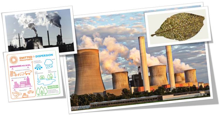 Air Pollution Definition and Biodiversity Definition
