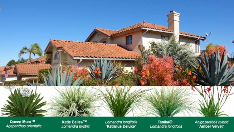 Fire-Resistant Plants for Western Washington