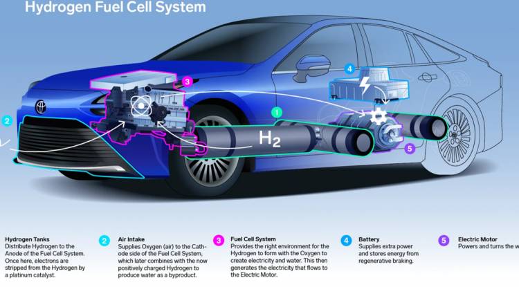 Hydrogen Fuel Cell Vehicles: The Future of Clean Transportation