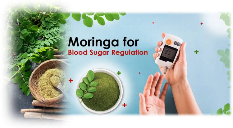  Moringa for blood sugar: How to control blood sugar with Moringa.