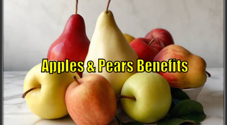 Both Apple & Pear Offer a Variety of Health Benefits.