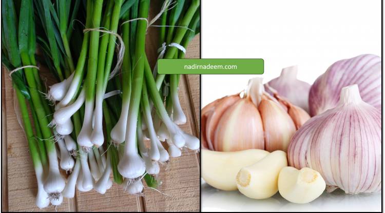 5 Wonderful Health Benefits Of Eating Garlic