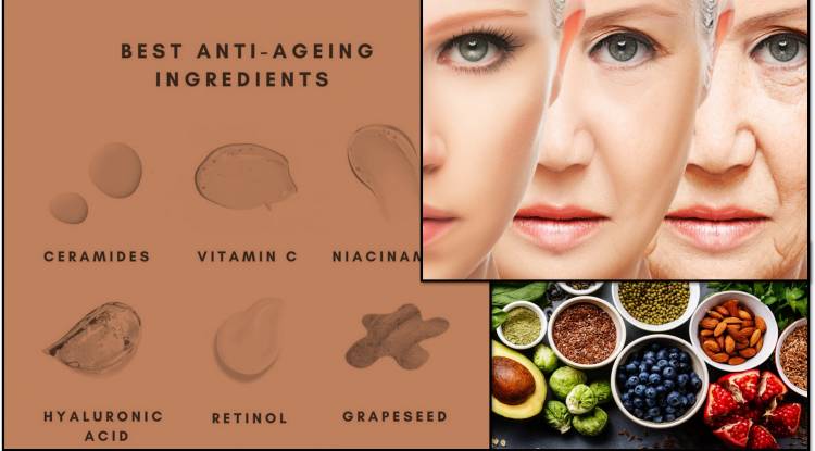 Most Effective Anti-Aging Ingredients for Your Skin