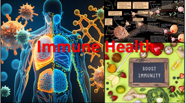 What is Immune System and What does immune health mean? 