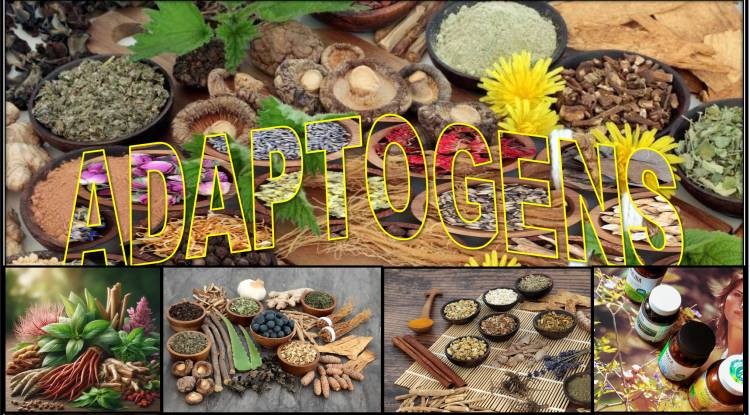 Adaptogens (a natural substance considered to help the body adapt to stress)