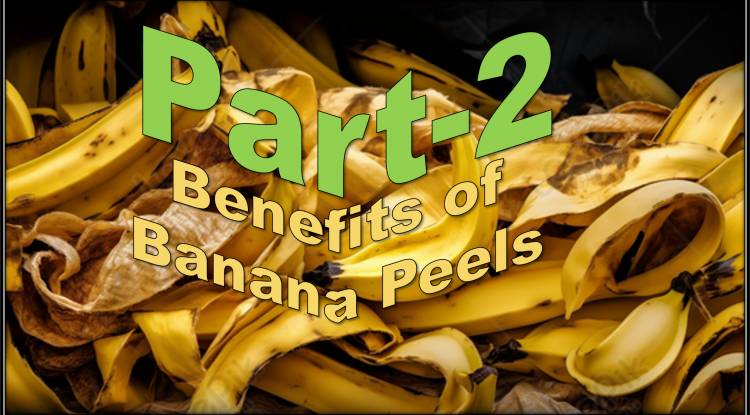 The Absolute Best Uses for Banana Peels-P2