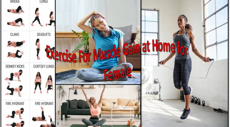 Exercise For Muscle Gain at Home for Female