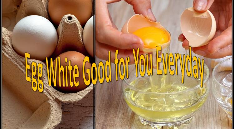 Egg White Good for You Everyday