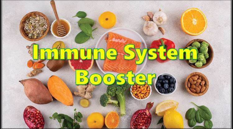 Foods You Should Take to Boost Our Immune System