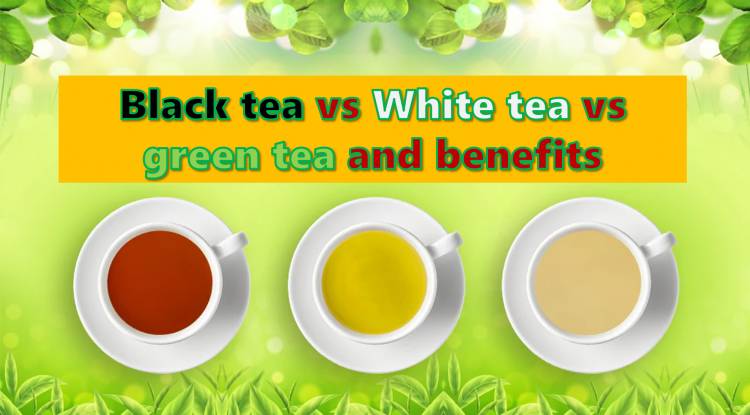 Tea: Black tea vs White tea vs green tea and benefits