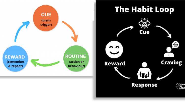 what is a habit loop