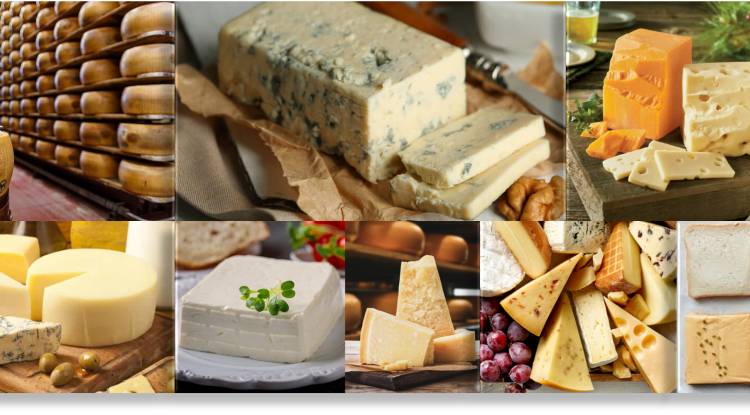 The World's Tastiest Cheeses in Detail