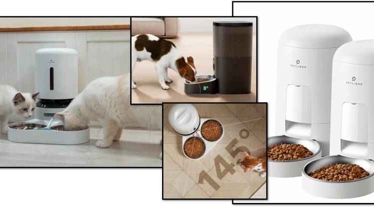 Pete Libro in detail petlibro automatic pet feeder