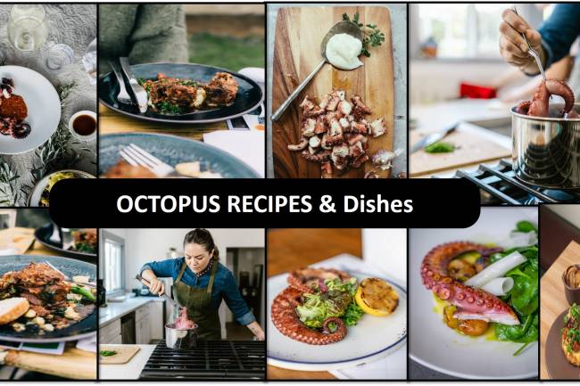 Octopus Recipes & Dishes
