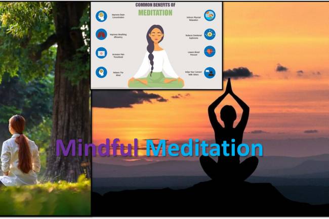 Mindful Meditation: Types: Benefits:  Practice: Challenges and Solutions