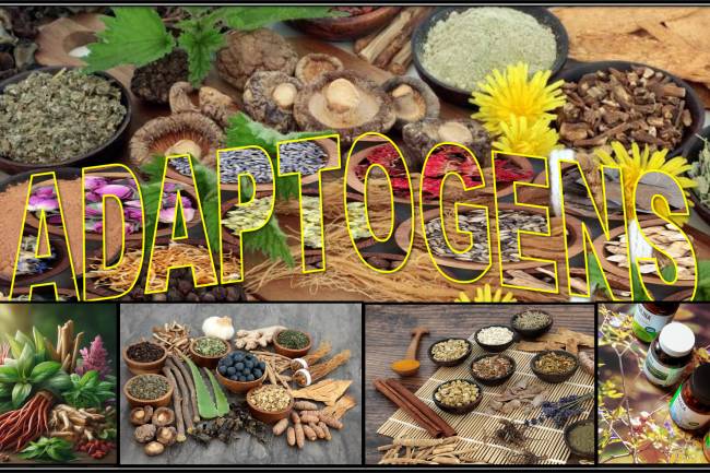 Adaptogens (a natural substance considered to help the body adapt to stress)