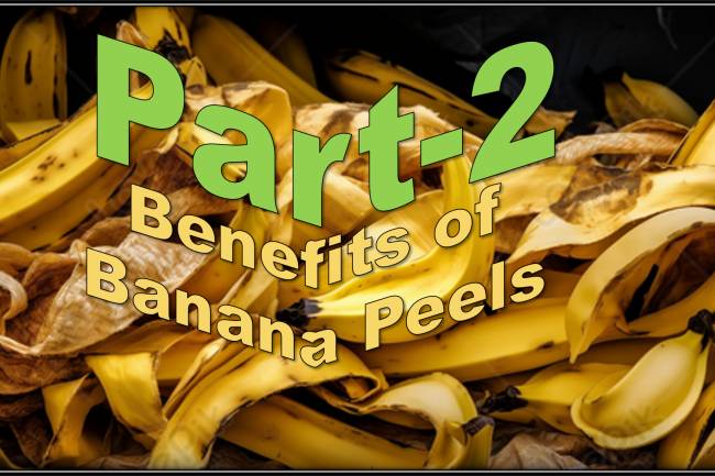 The Absolute Best Uses for Banana Peels-P2