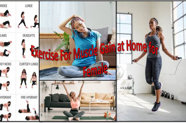 Exercise For Muscle Gain at Home for Female