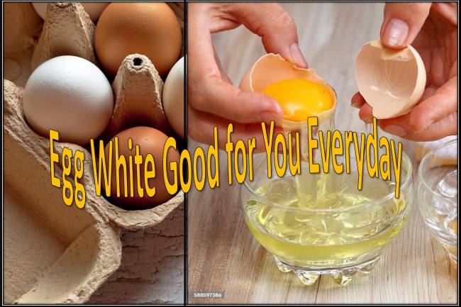 Egg White Good for You Everyday