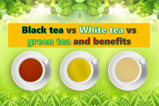 Tea: Black tea vs White tea vs green tea and benefits