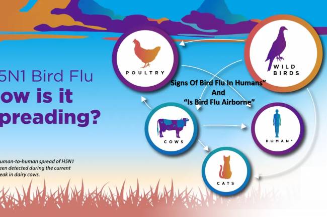 Signs Of Bird Flu In Humans” and “Is Bird Flu Airborne”