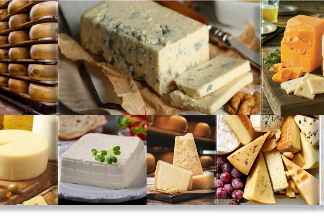 The World's Tastiest Cheeses in Detail