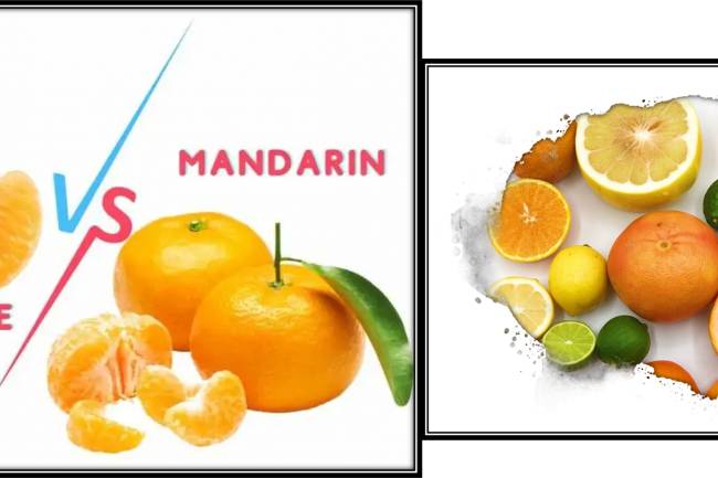 What is the difference between mandarins and Clementines?