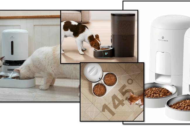 Pete Libro in detail petlibro automatic pet feeder