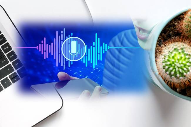 voice search & conversational writing assistant platform
