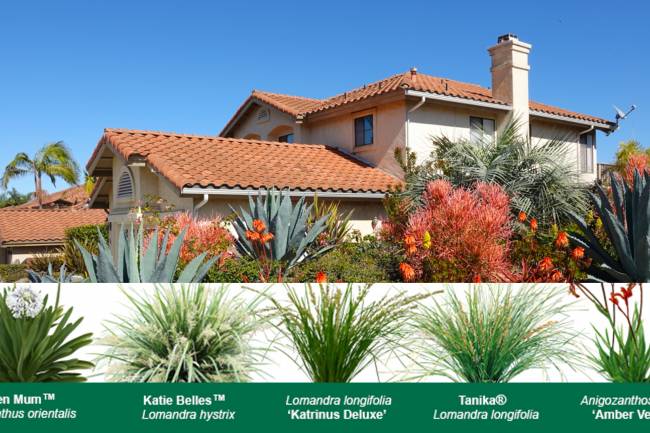 Fire-Resistant Plants for Western Washington 