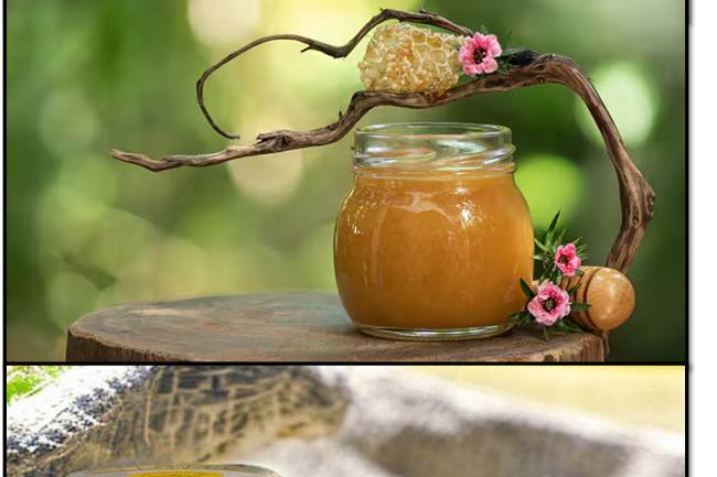 Kanuka Honey and Comparison with Manuka & Clover Honey